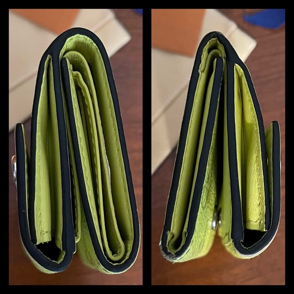 2019 Louis Vuitton Jaune Taigarama Discovery Mini Trifold Wallet - Picture 8 of 16